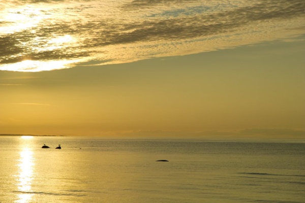 __________ ____.jpg